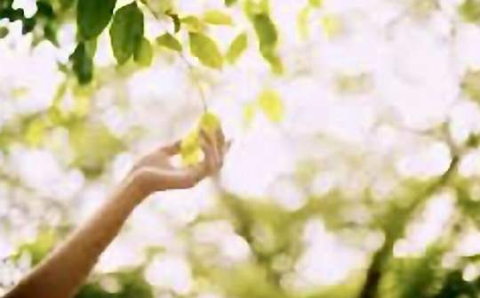 Thơ Đoàn Mạnh Phương  sự cộng hưởng giữa suy nghiệm  và nội lực vô thức