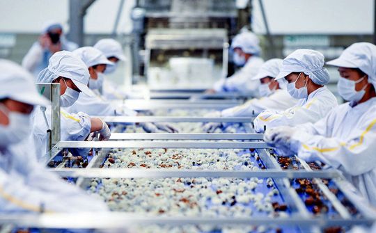 Xuất khẩu nông sản hướng tới mục tiêu 40 tỷ USD: Tạo bứt phá để cán đích