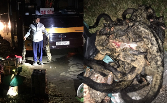 Đắk Lắk: Bắt giữ xe khách chở nhiều động vật hoang dã, quý hiếm