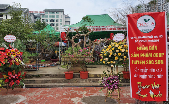 Nông Thủy Sản Thuần Việt: “ Cầu nối cho sản phẩm OCOP vươn xa”