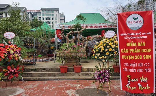 Nông Thủy Sản Thuần Việt: “ Cầu nối cho sản phẩm OCOP vươn xa”