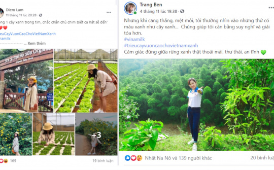 Một chiến dịch “online” khép lại - Hành trình vươn cao của một triệu cây xanh bắt đầu