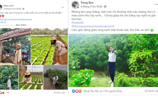 Một chiến dịch “online” khép lại - Hành trình vươn cao của một triệu cây xanh bắt đầu