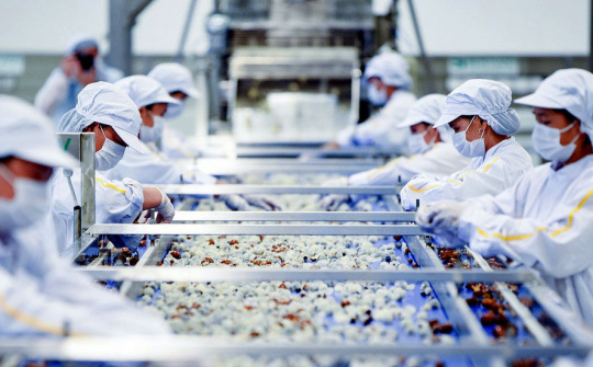 Xuất khẩu nông, lâm, thủy sản 10 tháng đạt 33,56 tỷ USD