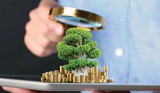 Vì sao khó xử lý hình sự những vụ vi phạm pháp luật về môi trường?