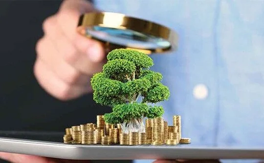Vì sao khó xử lý hình sự những vụ vi phạm pháp luật về môi trường?