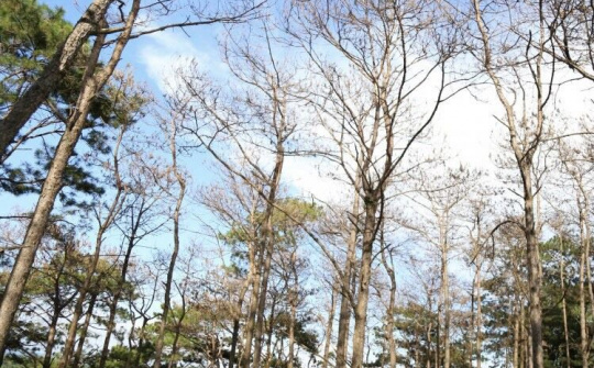 Đắk Nông: Kiểm tra công tác quản lý đất đai và quản lý bảo vệ rừng tại Huyện Đắk Glong