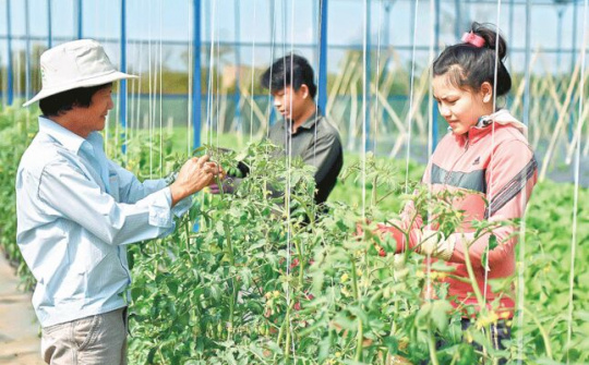 10 năm nâng cao vai trò trách nhiệm của Hội Nông dân Việt Nam