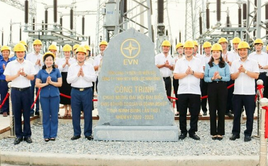 Công ty Điện lực Ninh Bình (giai đoạn 2016-2020): Một lộ trình thành công