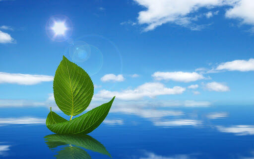 Đoàn Mạnh Phương : Người đi tìm mặt của thơ