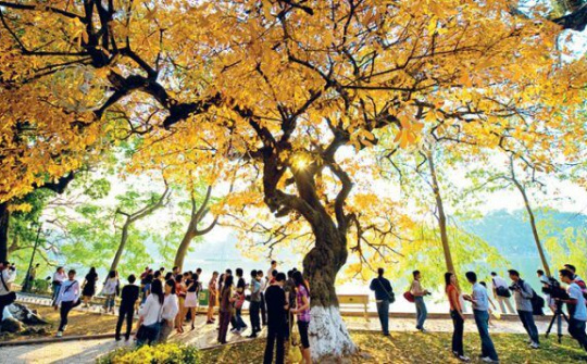 Truyền thông Đức ca ngợi cuộc sống ở Việt Nam trong đại dịch