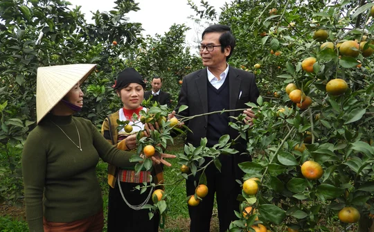 Ngọc Trung đã rất gần đạt chuẩn Nông thôn mới