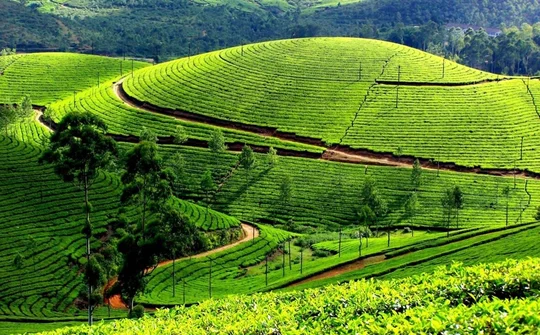Du lịch Nghệ An: Phát triển du lịch Canh nông – Hướng đi mới đầy triển vọng