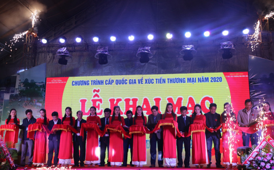 Khai mạc Hội chợ - Triển lãm khu vực miền Trung - Tây Nguyên 2020