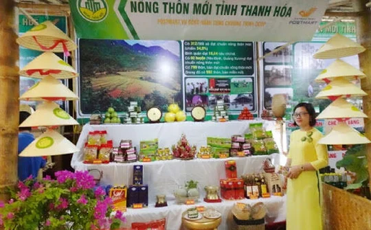 Thanh Hóa: Đánh giá, xếp hạng sản phẩm OCOP cấp tỉnh đợt 4 năm 2020
