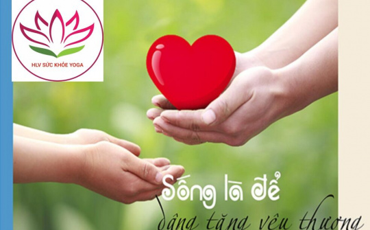 Huấn luyện viên sức khỏe Yoga: Xu hướng của thập niên tới