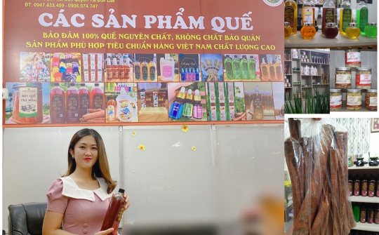 Trà Giang: Nhà phân phối độc quyền thương hiệu, sản phẩm Quế Trà Bồng tại Đắk Lắk