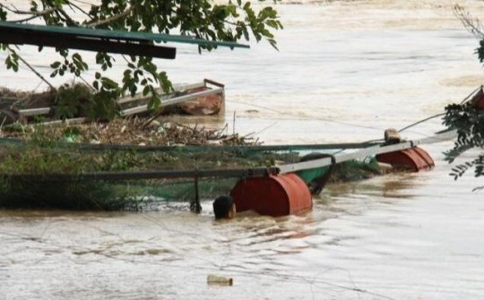Cư Jút (Đắk Nông): Thủy điện xả lũ, khiến hàng chục bè cá của người dân bị cuốn trôi