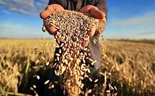 Bảo đảm an ninh lương thực quốc gia đến năm 2030