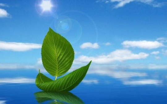 Khởi nghiệp và khát vọng