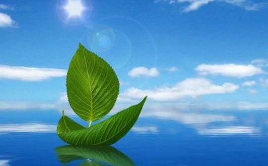 Khởi nghiệp và khát vọng