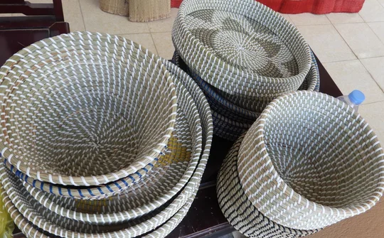 Thành lập Hợp tác xã sản xuất, kinh doanh và dịch vụ nông nghiệp Quảng Phúc