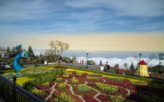 Có gì ở điểm check-in hấp dẫn nhất Đà Nẵng Tết mùa xuân này?