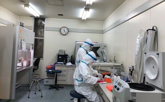 Trắng đêm, xuyên Tết trong phòng xét nghiệm để chiến đấu với corona