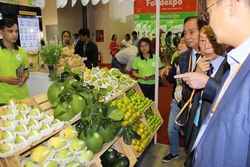 Chuyển hướng xuất khẩu giúp tránh phụ thuộc vào thị trường Trung Quốc