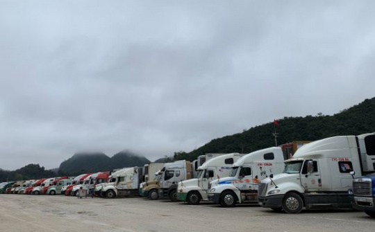 Dịch nCoV: Chủ động chuyển hướng xuất khẩu nông sản