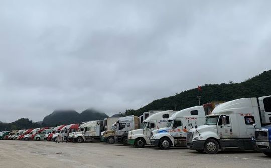Dịch nCoV: Chủ động chuyển hướng xuất khẩu nông sản
