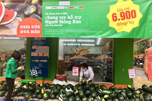 Họp gấp cùng doanh nghiệp hỗ trợ tiêu thụ nông sản