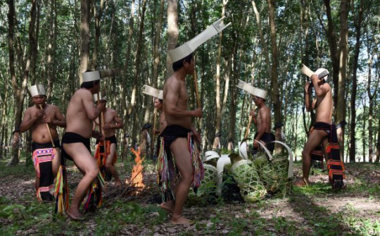 Mùa ăn than của người Giẻ - Triêng