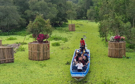 Kiệt tác giữa rừng tràm