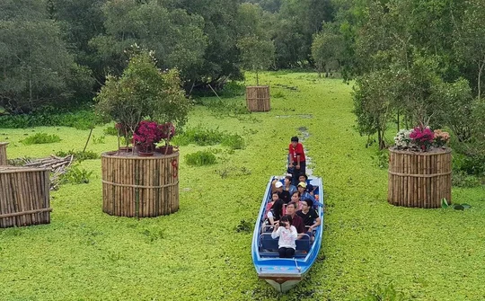 Kiệt tác giữa rừng tràm