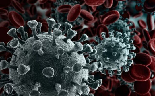 Lí do WHO nói phải mất 18 tháng mới có vắc xin phòng virus corona là gì?