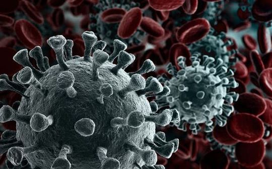 Lí do WHO nói phải mất 18 tháng mới có vắc xin phòng virus corona là gì?