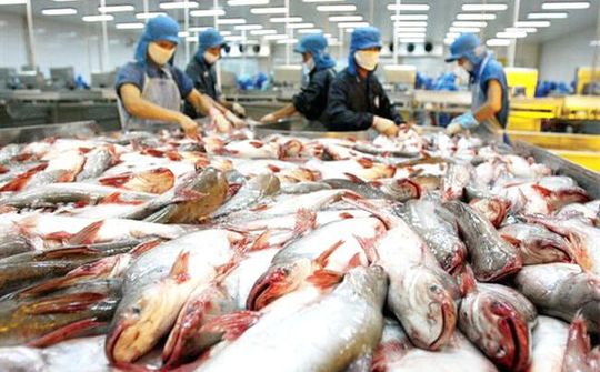 Doanh nghiệp Việt cùng với nỗi lo đáp ứng rào cản kỹ thuật tại EU