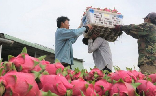 Doanh nghiệp Việt nhắm tới thị trường Ấn Độ thay cho Trung Quốc