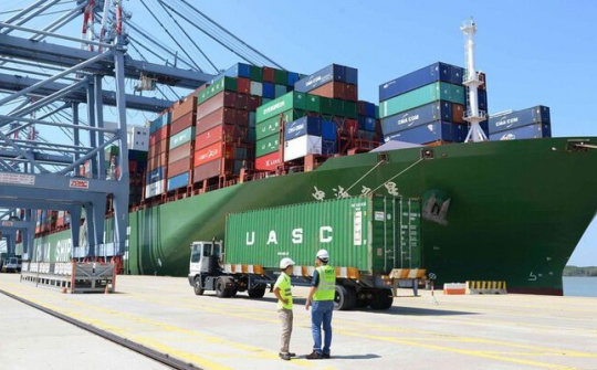 Việt kiều mở rộng thị trường xuất khẩu hàng Việt trên thị trường quốc tế