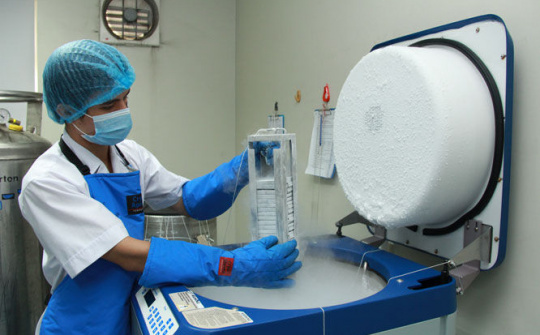 Việt Nam tiên phong cuộc cách mạng trong điều trị bệnh thông qua ghép tế bào gốc