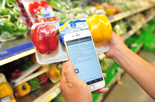 Thương hiệu rau quả Việt cần nhiều tiêu chuẩn để cạnh tranh ở EU