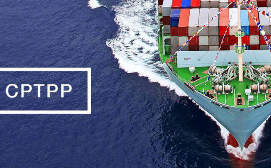 Doanh nghiệp Việt Nam sau 1 năm vào CPTPP đã thu lượm được những gì