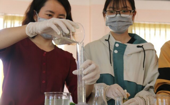 Hai nữ sinh lớp 11 chế dung dịch sát khuẩn từ loại cây mọc dại
