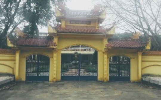 Số phận 2 cây sưa ở Hoằng Hóa, Thanh Hóa