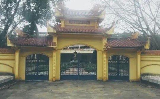 Số phận 2 cây sưa ở Hoằng Hóa, Thanh Hóa