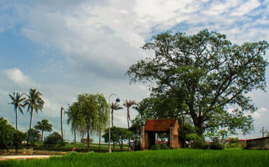 Xây dựng Thông tư quy định về công nhận hương ước, quy ước