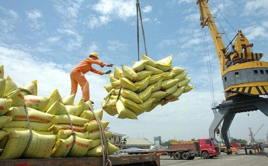 Hướng đi nào cho xuất khẩu gạo Việt Nam trong năm 2020