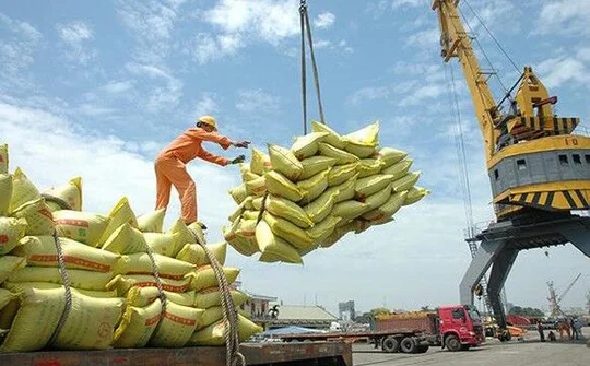 Hướng đi nào cho xuất khẩu gạo Việt Nam trong năm 2020