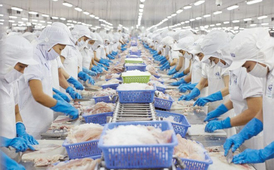 Giải quyết khó khăn trong cho vay sản xuất, kinh doanh thủy sản